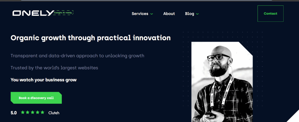 Onely-WordPress-SEO-Agency